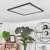 Wilderswil Plafondpaneel LED Wit, 1-licht