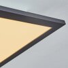Wilderswil Plafondpaneel LED Wit, 1-licht