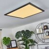 Wilderswil Plafondpaneel LED Wit, 1-licht