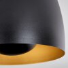 Viking Plafondlamp Zwart, 1-licht