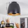 Viking Plafondlamp Zwart, 1-licht
