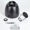 Viking Plafondlamp Zwart, 1-licht