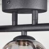 Chariton Plafondlamp LED Zwart, 3-lichts