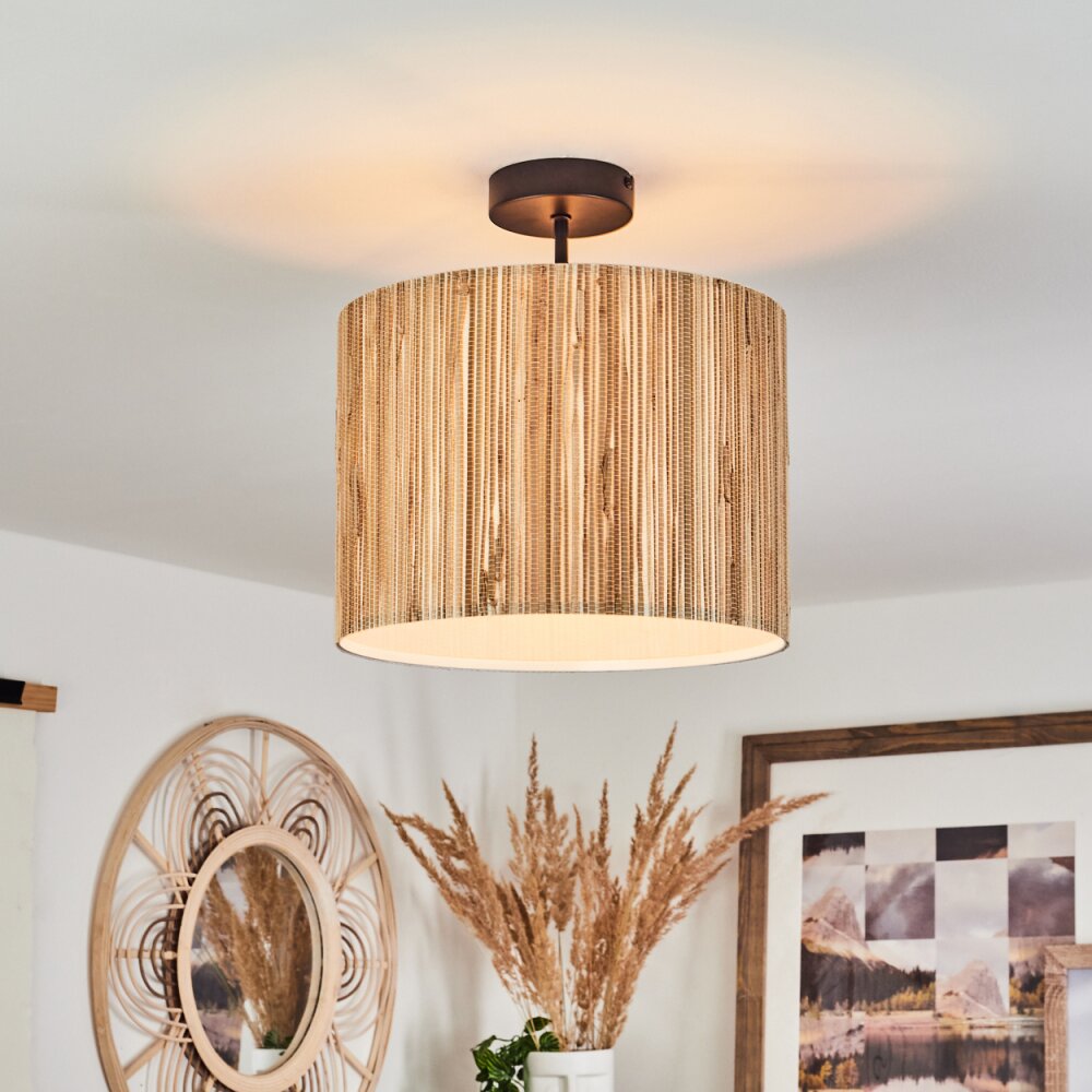 Fleuriot Plafondlamp Zwart, 1-licht main product photo