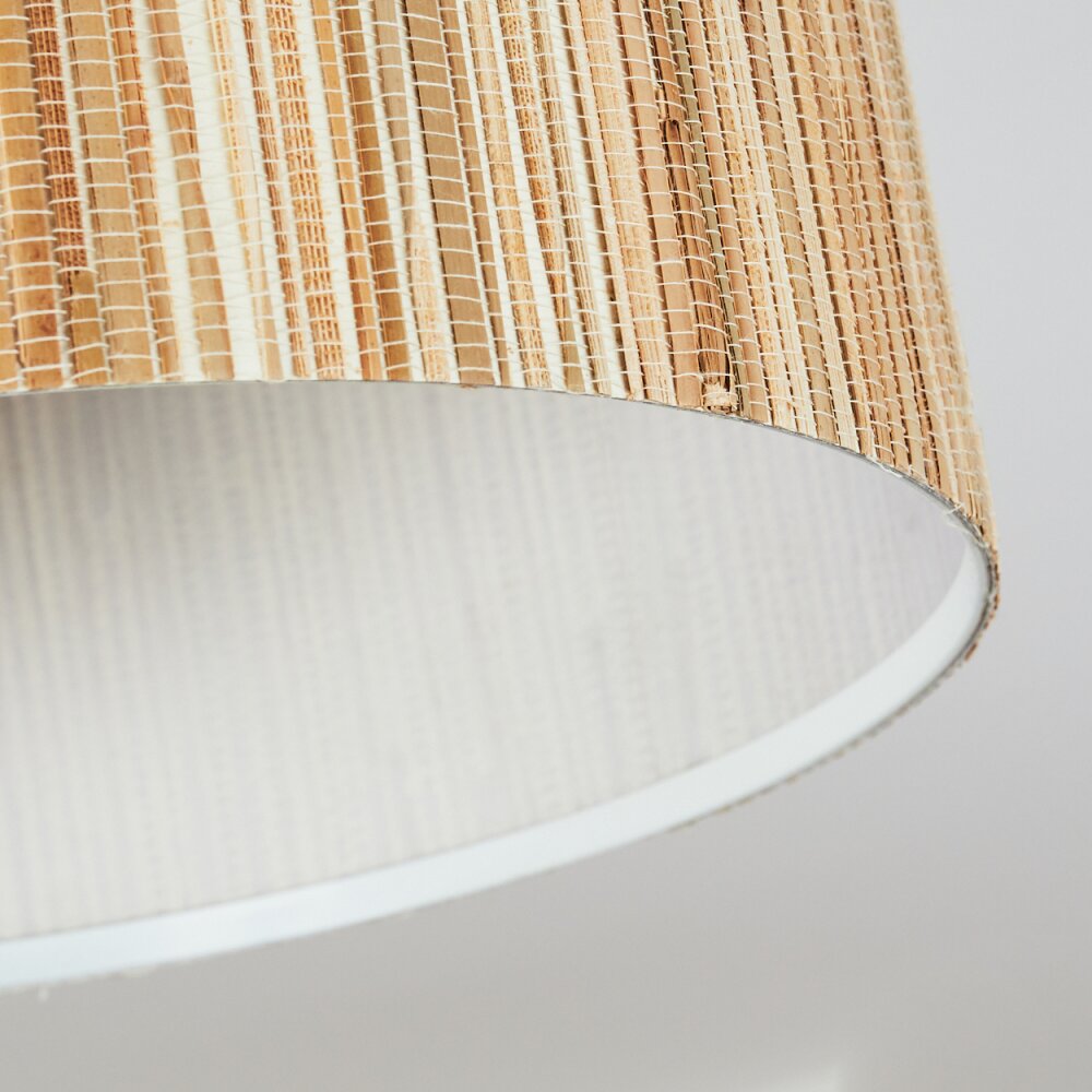 Fleuriot Plafondlamp Zwart, 1-licht