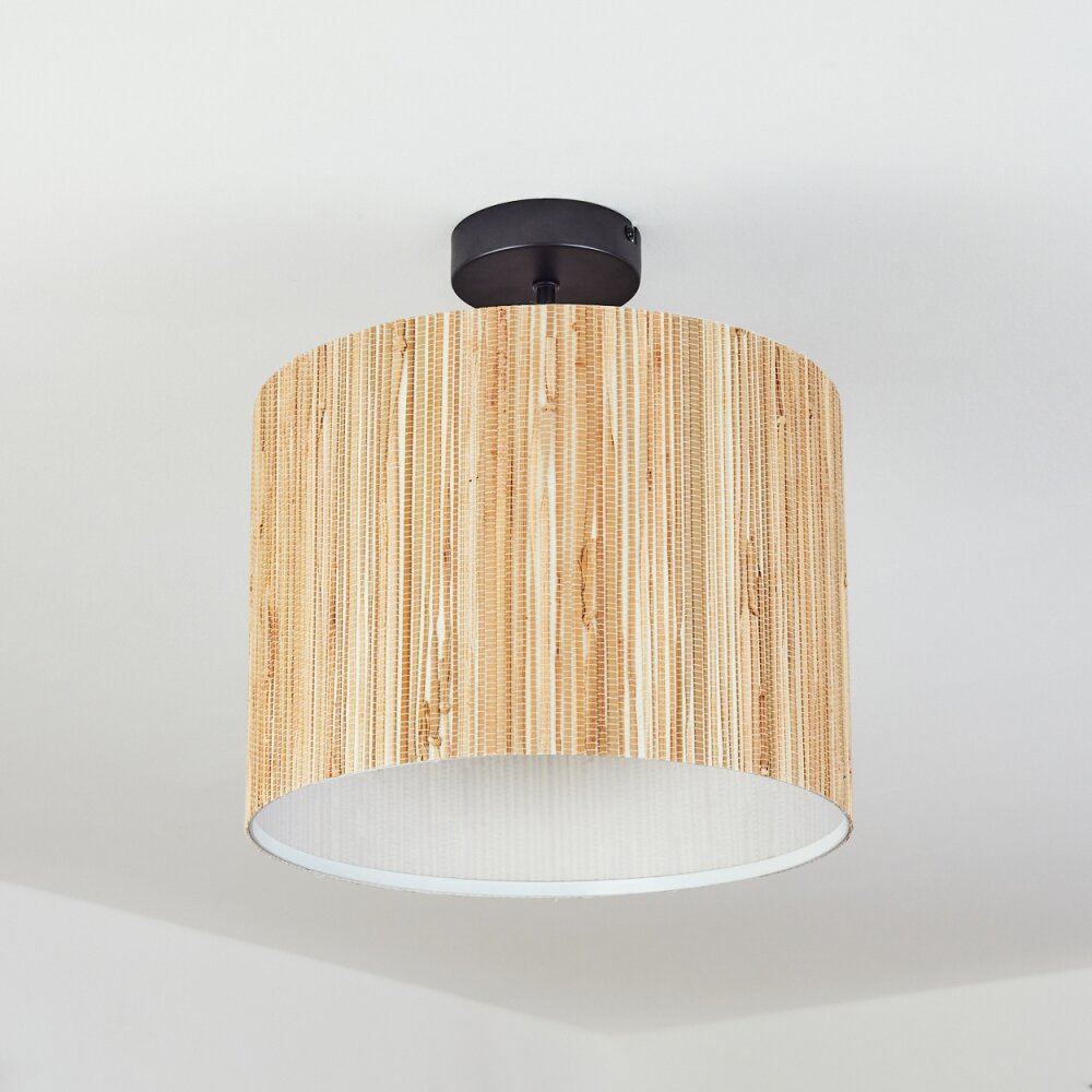 Fleuriot Plafondlamp Zwart, 1-licht