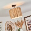 Fleuriot Plafondlamp Zwart, 1-licht