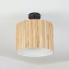 Fleuriot Plafondlamp Zwart, 1-licht
