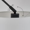 Renfrew Staande lamp Zwart, 3-lichts