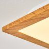 Barasat Plafondpaneel LED Wit, 1-licht