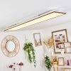 Barasat Plafondpaneel LED Wit, 1-licht