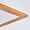 Barasat Plafondpaneel LED Wit, 1-licht