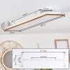 Barasat Plafondpaneel LED Wit, 1-licht