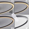 Lithgow Plafondlamp LED Zwart, 2-lichts, Afstandsbediening, Kleurwisselaar