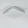 Hutton Plafondlamp LED Chroom, 1-licht