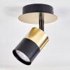 Barasat Plafondlamp Messing, Zwart, 1-licht