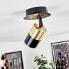 Barasat Plafondlamp Messing, Zwart, 1-licht