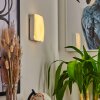 Hutton Muurlamp LED Nikkel mat, 1-licht