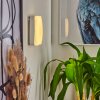 Hutton Muurlamp LED Nikkel mat, 1-licht