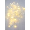 Globo VENUTO Lichtketting LED Zilver, 100-lichts