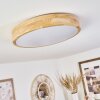 Samaira Plafondlamp LED Natuurlijke kleuren, 1-licht