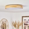 Samaira Plafondlamp LED Natuurlijke kleuren, 1-licht