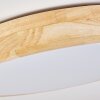 Samaira Plafondlamp LED Natuurlijke kleuren, 1-licht