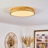 Samaira Plafondlamp LED Natuurlijke kleuren, 1-licht
