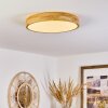 Samaira Plafondlamp LED Natuurlijke kleuren, 1-licht