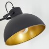 Parola Staande lamp Zwart, 1-licht