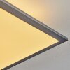 Barasat Plafondpaneel LED Zwart, Wit, 2-lichts