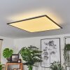 Barasat Plafondpaneel LED Zwart, Wit, 2-lichts