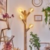 Pozos Staande lamp Natuurlijke kleuren, Zwart, 4-lichts