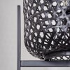 Quinto Staande lamp Zwart, 1-licht