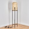 Quinto Staande lamp Zwart, 1-licht Quinto Staande lamp Zwart, 1-licht