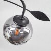 Barasat Plafondlamp LED Zwart, 4-lichts