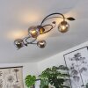 Barasat Plafondlamp LED Zwart, 4-lichts