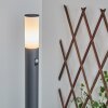 Caserta Padverlichting Antraciet, 1-licht, Bewegingsmelder