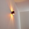 Letsbo Muurlamp Zwart-Goud, 1-licht