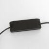 Steinhauer Turound Staande lamp LED Zwart, 1-licht