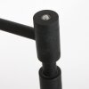 Steinhauer Turound Staande lamp LED Zwart, 1-licht