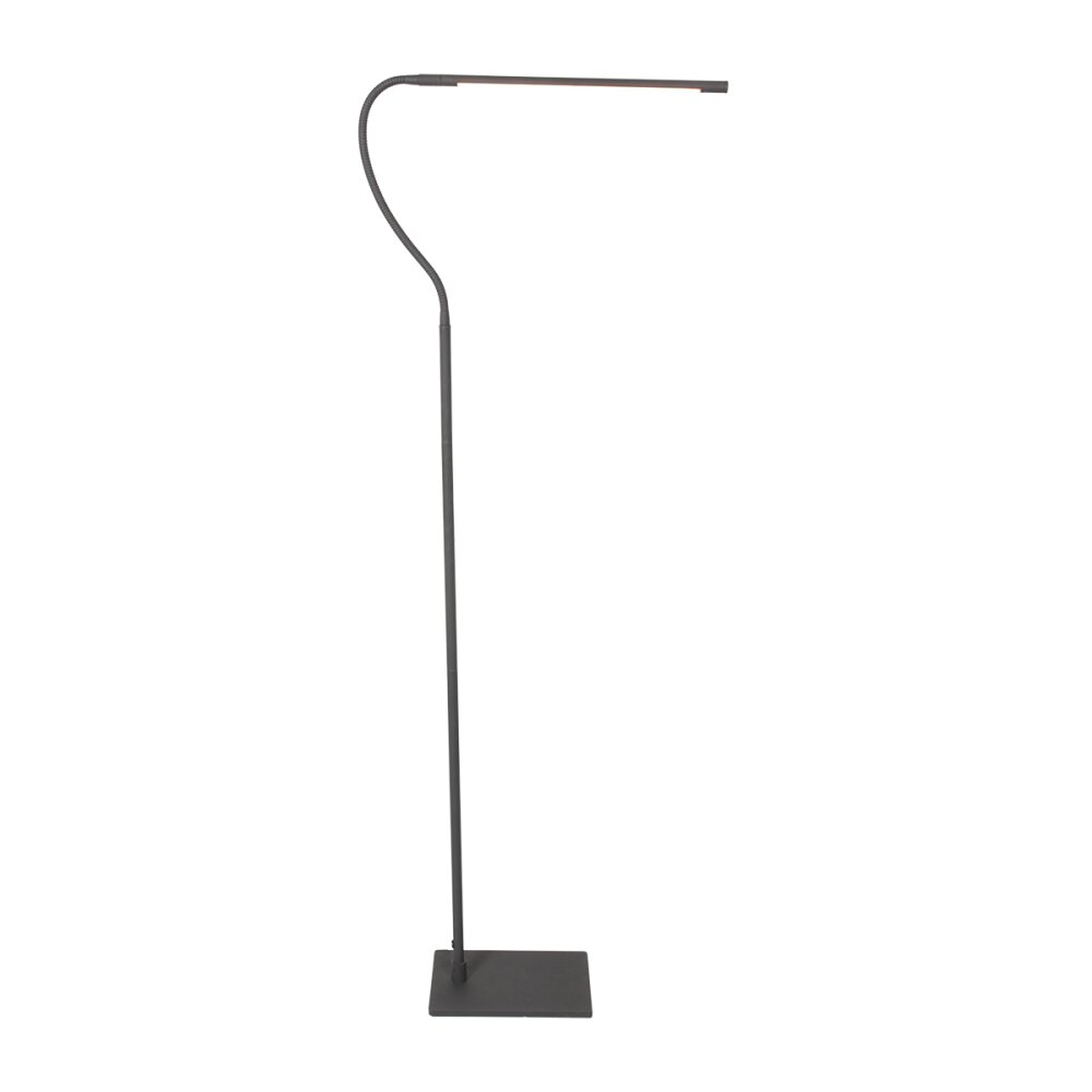 Steinhauer Serpent Staande lamp LED Zwart, 1-licht main product photo