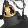 Steinhauer Nové Plafondlamp Goud, Zwart, 2-lichts