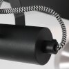 Steinhauer Acier Plafondlamp Zwart, 2-lichts