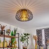Dudignac Plafondlamp Zwart, 1-licht