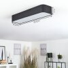 Iriondo Plafondlamp LED Zwart, 1-licht, Afstandsbediening