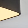 Iriondo Plafondlamp LED Zwart, 1-licht, Afstandsbediening
