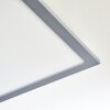 Ringuelet Plafondpaneel LED Wit, 1-licht