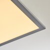 Ringuelet Plafondpaneel LED Wit, 1-licht