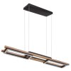 Globo ILLA Hanglamp LED Zwart, 1-licht